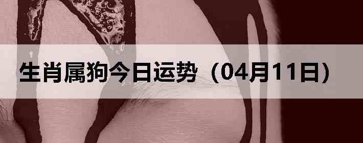 ��Ф�����������ƣ�04��11�գ�