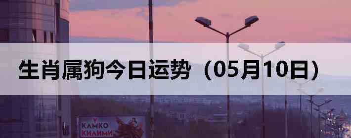 ��Ф�����������ƣ�05��10�գ�