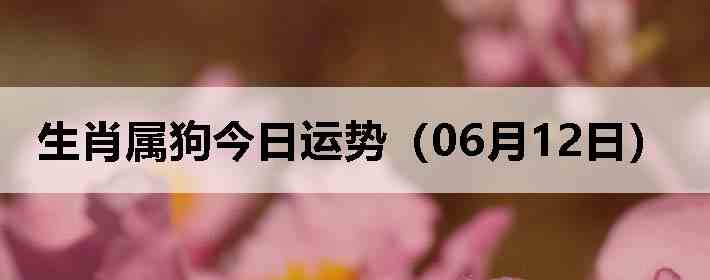 ��Ф�����������ƣ�06��12�գ�