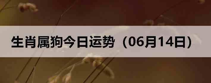 ��Ф�����������ƣ�06��14�գ�