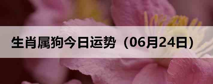 ��Ф�����������ƣ�06��24�գ�