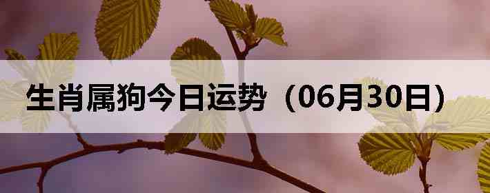 ��Ф�����������ƣ�06��30�գ�