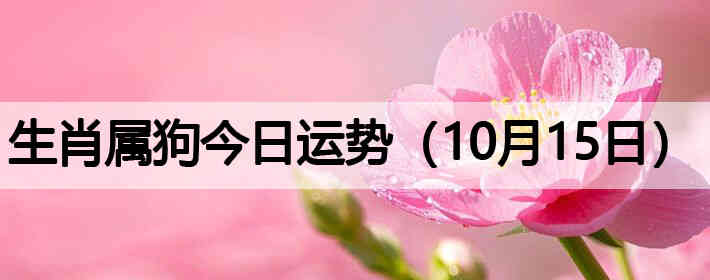 ��Ф�����������ƣ�10��15�գ�
