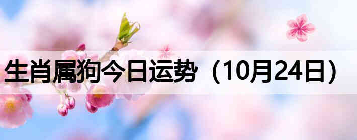 ��Ф�����������ƣ�10��24�գ�