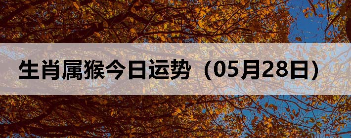 Фƣ0528գ