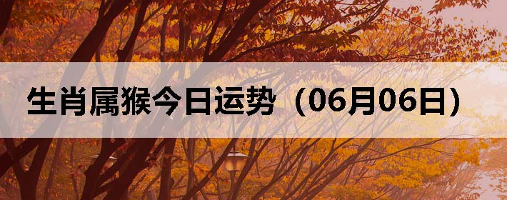 Фƣ0606գ