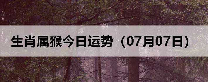 Фƣ0707գ
