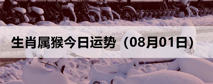 Фƣ0801գ