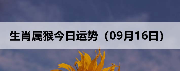 Фƣ0916գ