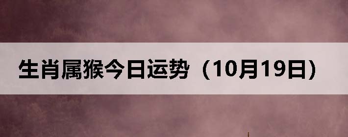 生肖属猴今日运势(10月19日)