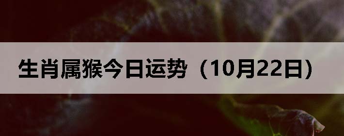 生肖属猴今日运势(10月22日)
