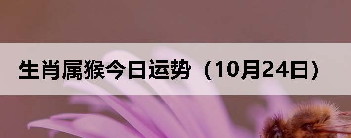 生肖属猴今日运势(10月24日)