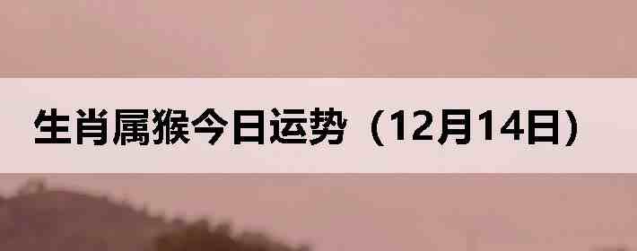 ��Ф����������ƣ�12��14�գ�