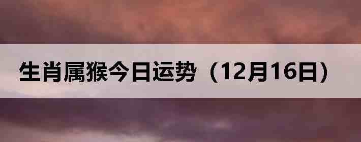 ��Ф����������ƣ�12��16�գ�