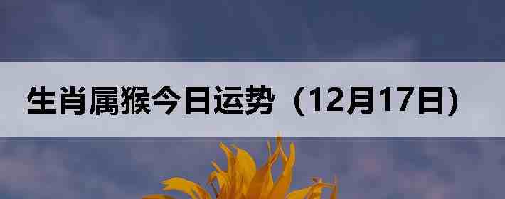 ��Ф����������ƣ�12��17�գ�