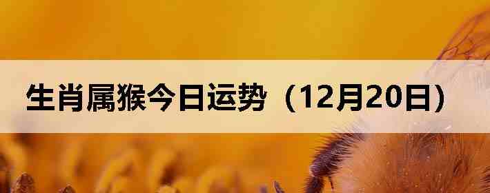 ��Ф����������ƣ�12��20�գ�