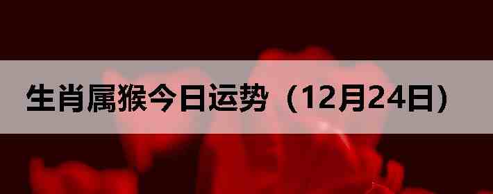 ��Ф����������ƣ�12��24�գ�