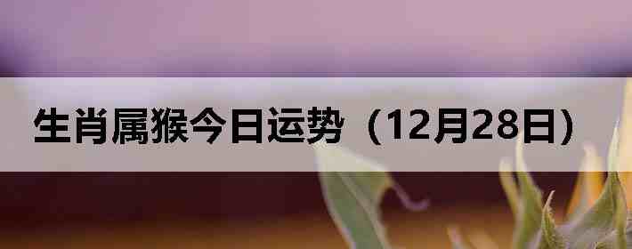 ��Ф����������ƣ�12��28�գ�