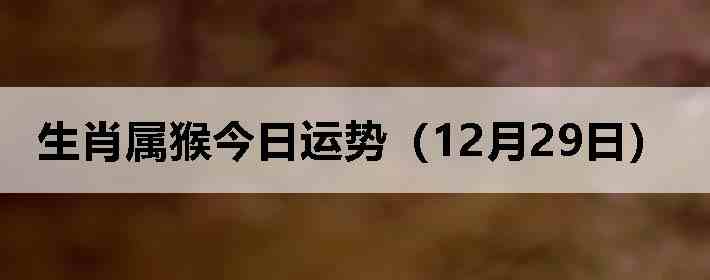 ��Ф����������ƣ�12��29�գ�