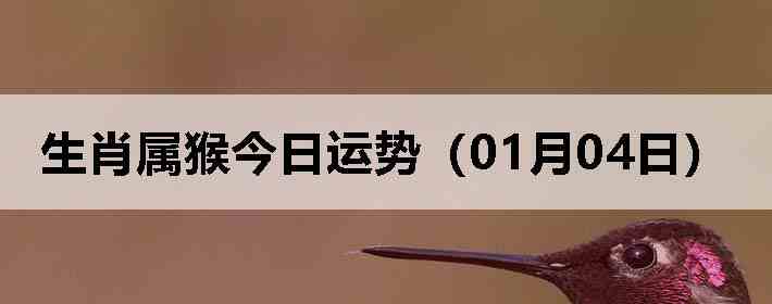 ��Ф����������ƣ�01��04�գ�