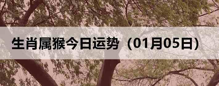 ��Ф����������ƣ�01��05�գ�