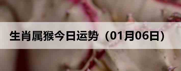 ��Ф����������ƣ�01��06�գ�