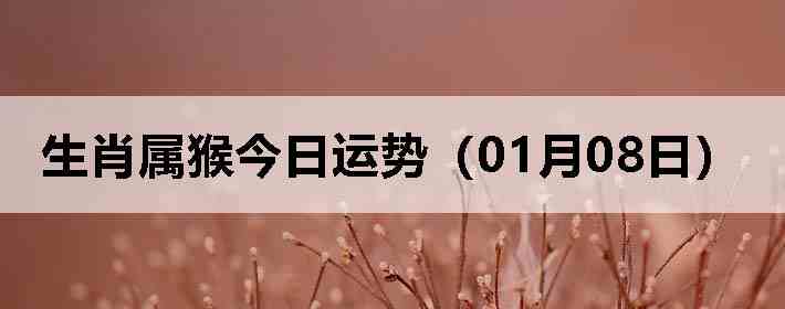 ��Ф����������ƣ�01��08�գ�