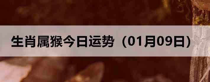 ��Ф����������ƣ�01��09�գ�