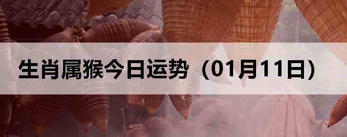 ��Ф����������ƣ�01��11�գ�