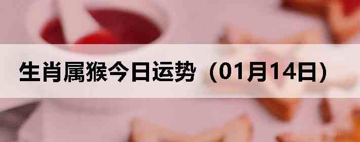 ��Ф����������ƣ�01��14�գ�