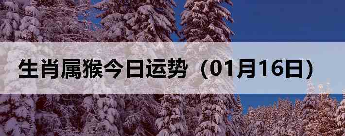 ��Ф����������ƣ�01��16�գ�