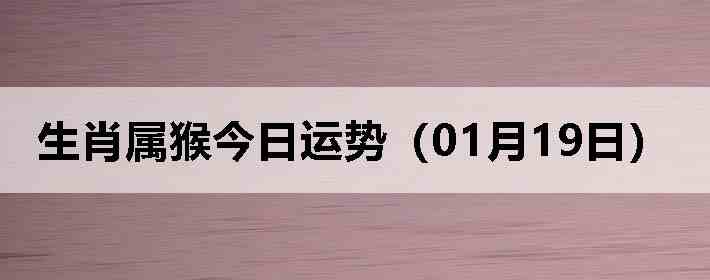 ��Ф����������ƣ�01��19�գ�