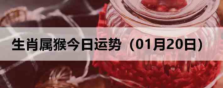 ��Ф����������ƣ�01��20�գ�