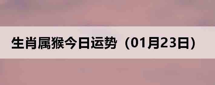 ��Ф����������ƣ�01��23�գ�