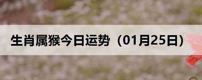 ��Ф����������ƣ�01��25�գ�