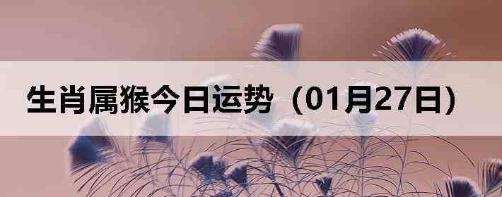 ��Ф����������ƣ�01��27�գ�