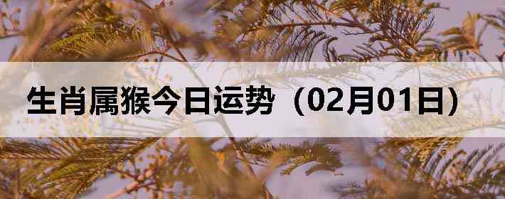 ��Ф����������ƣ�02��01�գ�