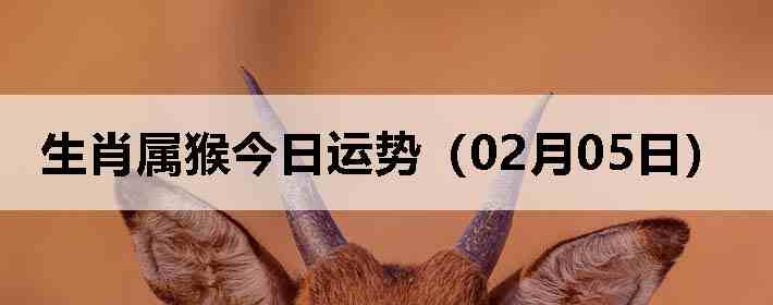 ��Ф����������ƣ�02��05�գ�