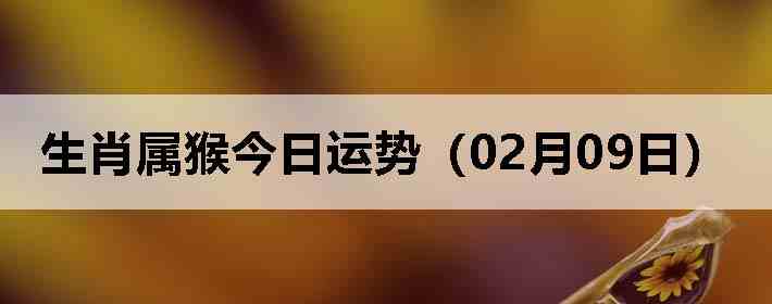 ��Ф����������ƣ�02��09�գ�