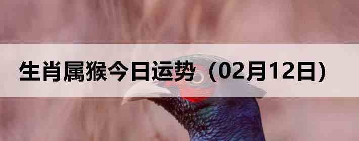 ��Ф����������ƣ�02��12�գ�