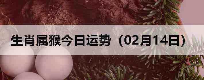 ��Ф����������ƣ�02��14�գ�