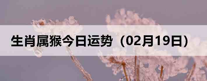 ��Ф����������ƣ�02��19�գ�