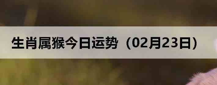 ��Ф����������ƣ�02��23�գ�