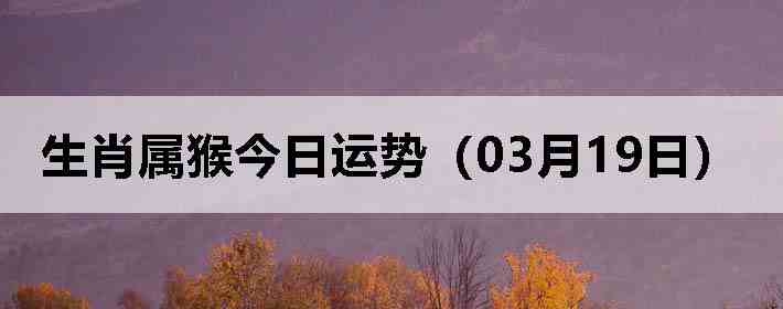 ��Ф����������ƣ�03��19�գ�