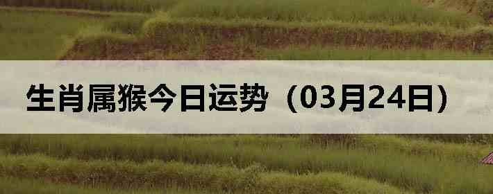 ��Ф����������ƣ�03��24�գ�