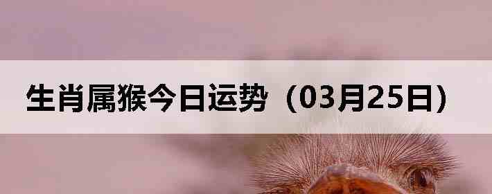 ��Ф����������ƣ�03��25�գ�