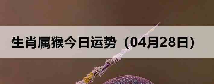��Ф����������ƣ�04��28�գ�