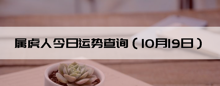 ˽Ʋѯ1019գ