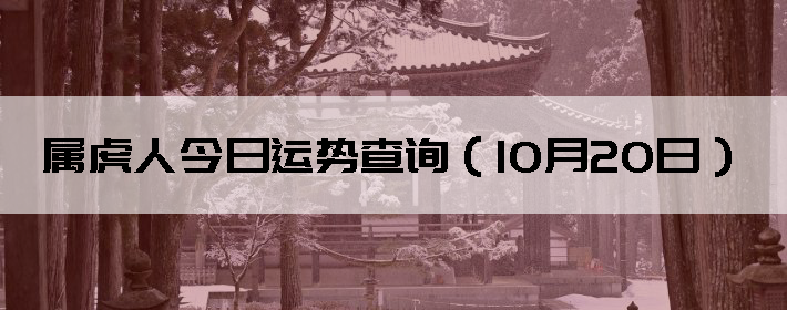 ˽Ʋѯ1020գ
