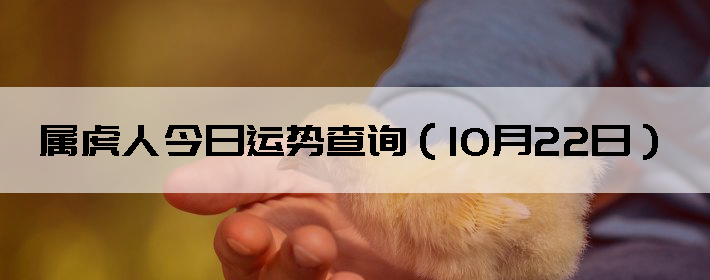 ˽Ʋѯ1022գ